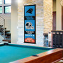 Carolina Panthers Decor and Banner