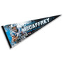 Carolina Panthers McCaffery Pennant Flag