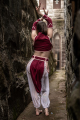 Courtesan Harem Pants