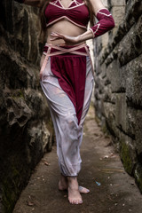 Courtesan Harem Pants