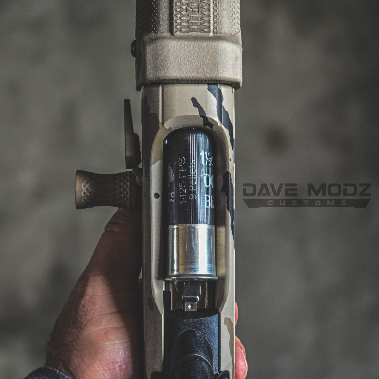 CUSTOM 1301T ARID-ZONA BY DAVE MODZ CUSTOMS