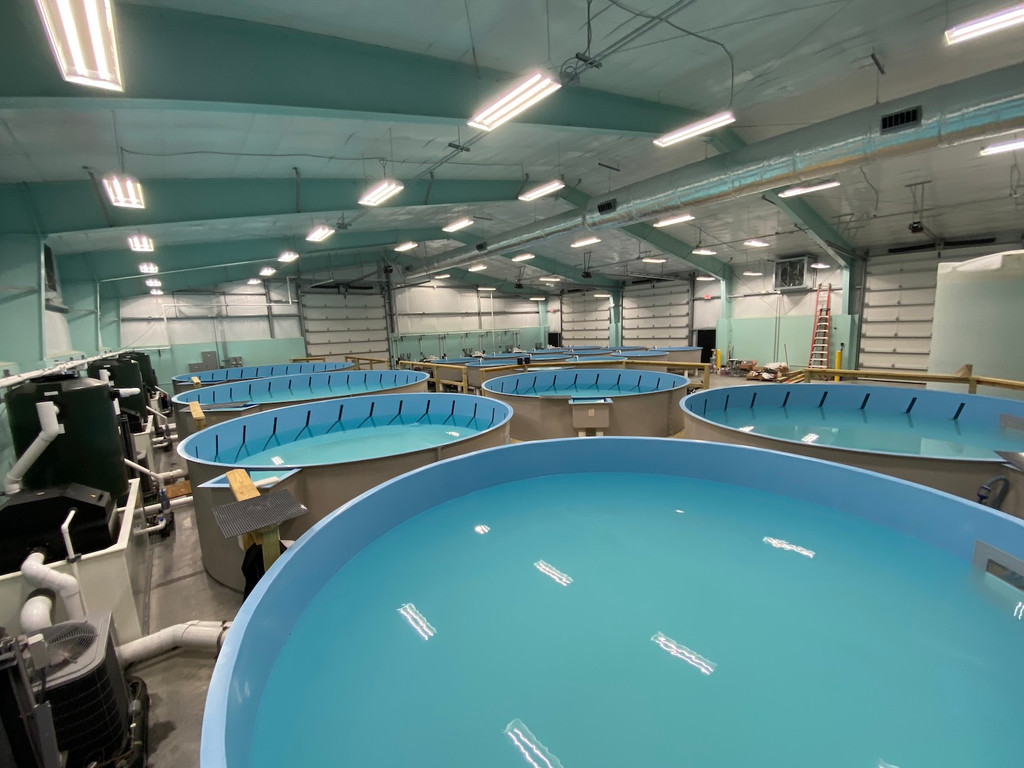 Round Fiberglass Tank Recirculating Aquaculture System