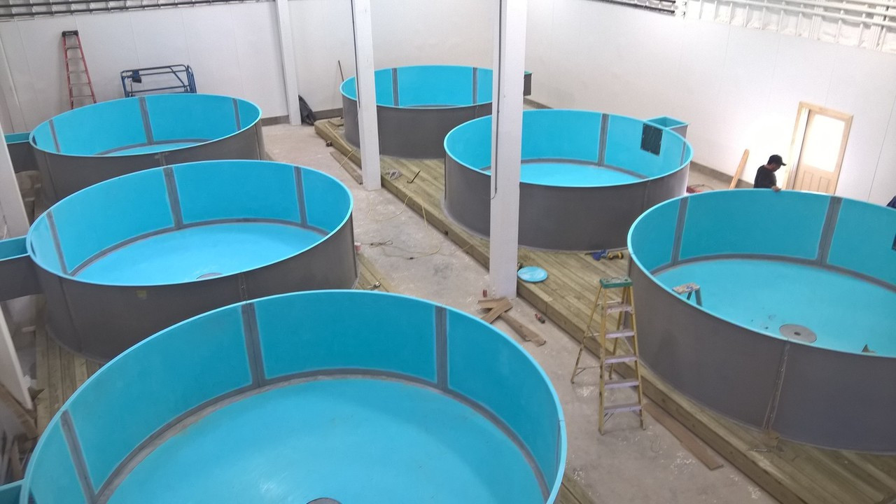 Fiberglass tanks for aquaculture