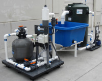 Turnkey Recirculating Aquaculture Systems