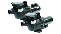 Hayward LifeStar A Series Pumps