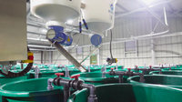 Arvo-Tec Feed Control Systems Robot Feeder