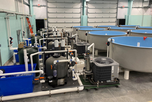 Benefits Of Temperature Control In Aquaculture