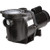 Standard style of the sparus pump showing the inlet and integrated filter basket, along with the motor.
