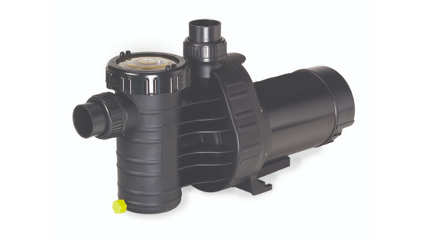 Speck Intrepid Pumps