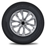 gt_radial champiro_vp1 - Cara