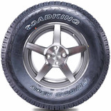 roadking argos_rf06 - Cara