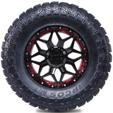 roadking argos_mt - Cara