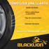 Black Lion Leer Llanta