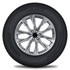 gt_radial champiro_vp1 - Cara