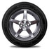 roadtrack terrena_as - Cara