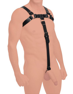 English Bull Dog Harness with Cock Strap