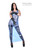 dr04.blt8.2-watermarked.jpg