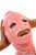 ho27.pim1.watermarked.jpg