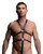 Male Full Body Harness