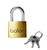 Brass Lock