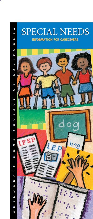 Special Needs Information for Caregivers MultiLingual Digital Download