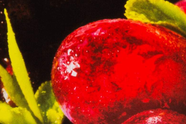 RioVida BURST - the first and only transfer factor edible gel