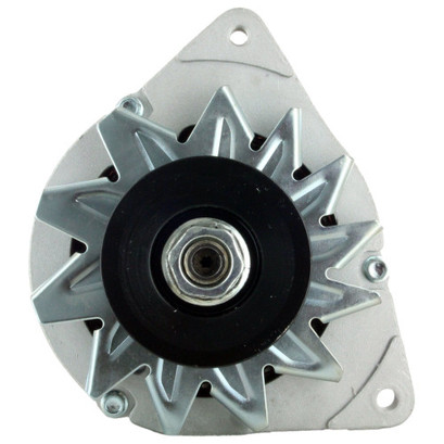Discount Starter and Alternator 12072N Alternator for CASE, FERMEC, MANTIOU, MASSEY FERGUSON, and PERKINS Discount Starter and Alternator 12072N Alternator for CASE, FERMEC, MANTIOU, MASSEY FERGUSON, and PERKINS