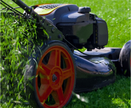 Lawn & Garden
