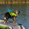 O'Brien pet life jacket shark fin detail with stitched dorsal fi