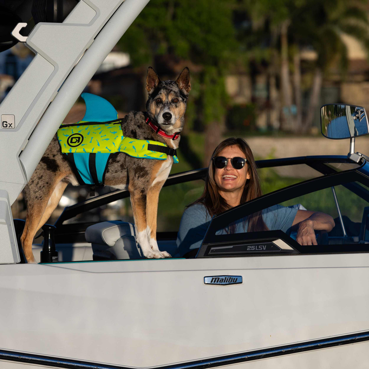 dog wearing O'Brien shark fin life vest