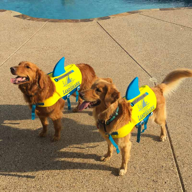 Landshark Pet Life Jacket Vest