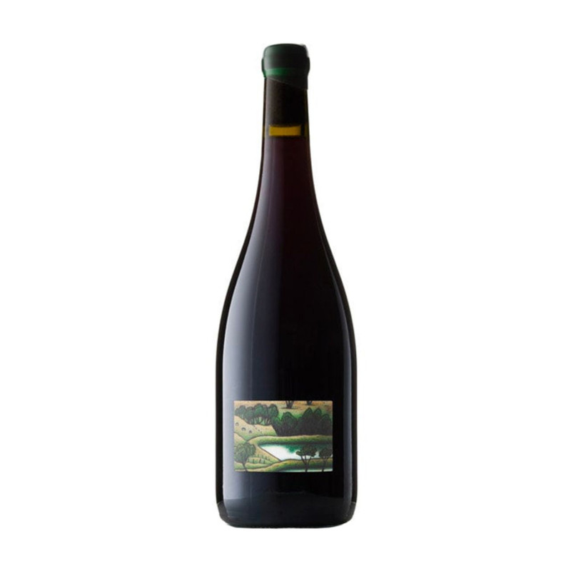 William Downie Bullswamp Pinot Noir 2024