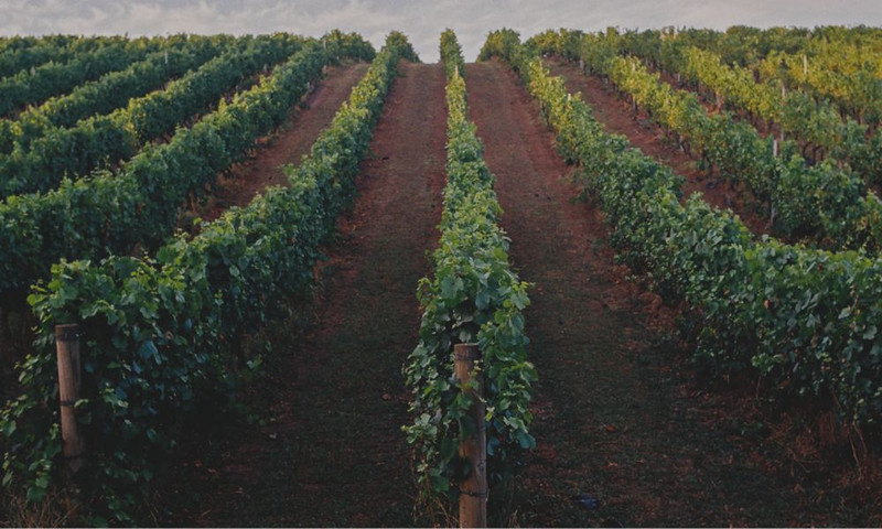 Bass Phillip | Beloved Gippsland Chardonnay & Pinot Duo Now Available