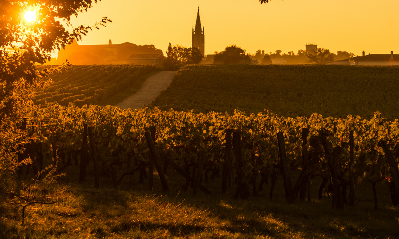 Bordeaux 2022 En Primeur