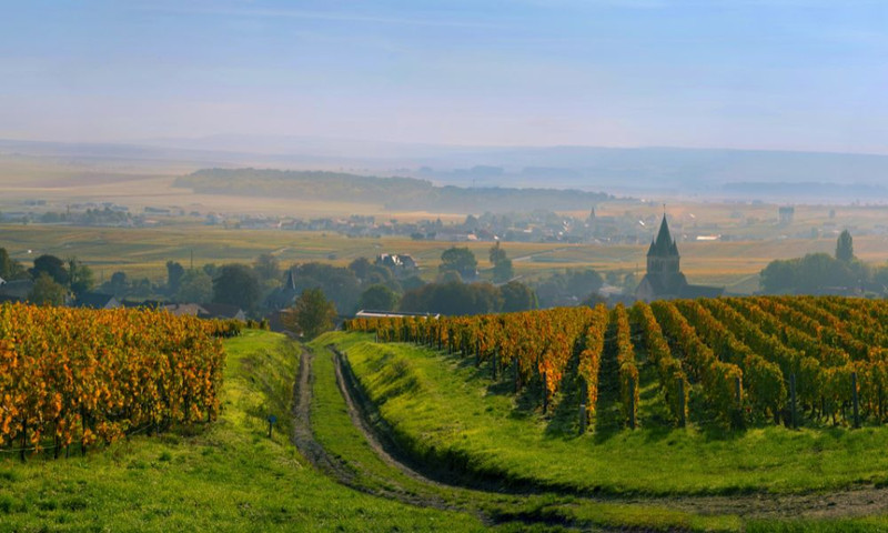 Terrific Value Brut NV from Gaston Burtin!