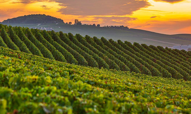 Comtes de Champagne 2012 - Spectacular Release from Taittinger