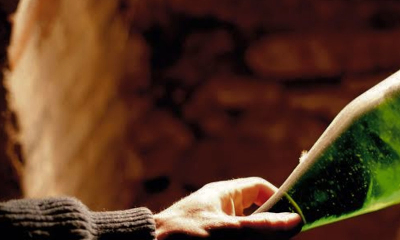 Grower Grandeur | Champagnes of Precision and Power on Special & Tasting!