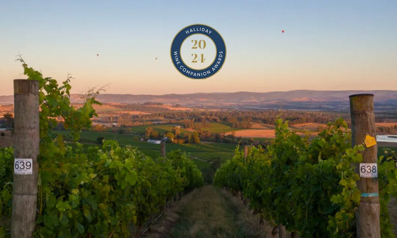 New Halliday Award-Winners on Special!