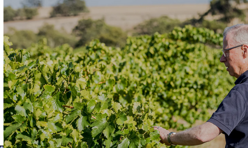 John Duval on Show - Specials & Tasting w/ Winemaker Tim Duval