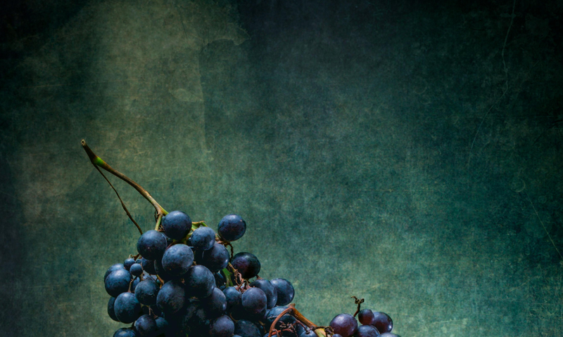 Albino Rocca - A Special Evening Masterclass w/ Daniela Rocca | Tickets Available!