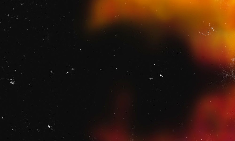 Tolpuddle | The New 2024 Release Now Available + On Tasting with Other Benchmarks!