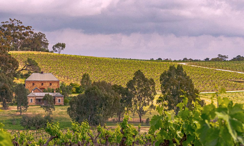 New Release Torbreck Lineup // Specials + Tasting!