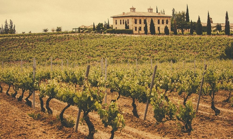 Vega Sicilia Offer - The Wine Emporium