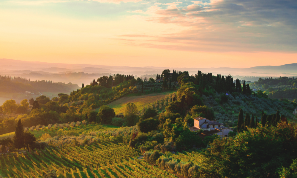 Iconic New Italian Releases on Offer + Tasting!