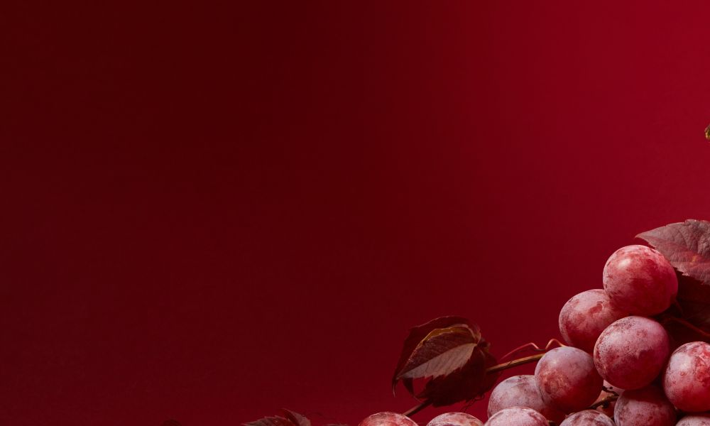 Unique Red Varietals from Around the World | Wild & Wonderful Choices on Special + Tasting!