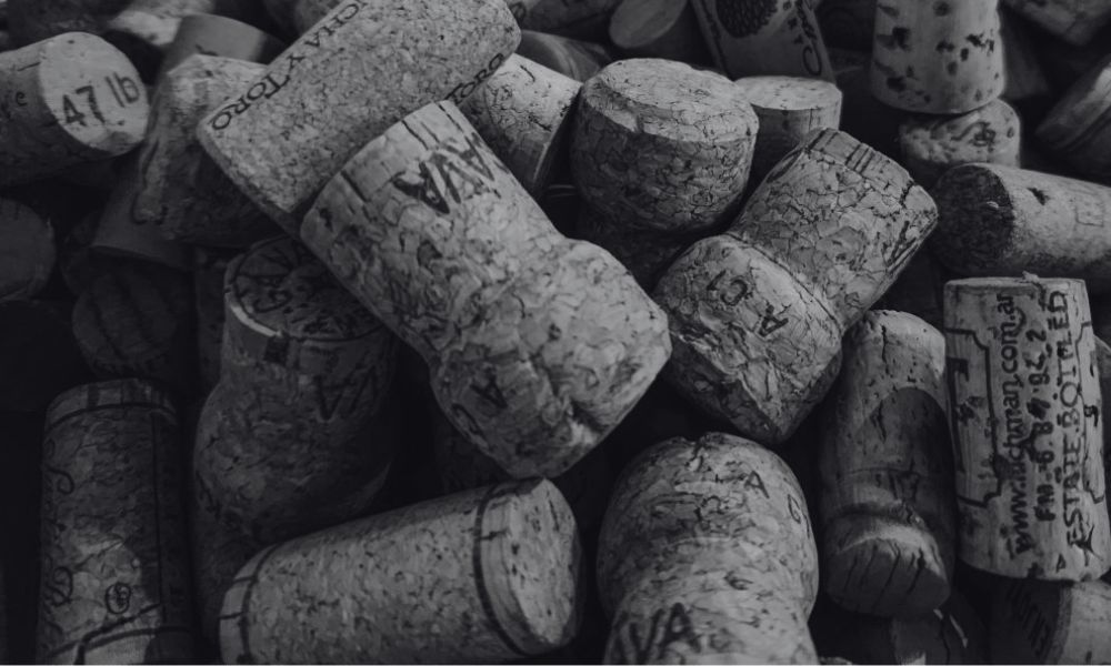 André Robert 'Les Jardins du Mesnil' Grand Cru NV | Champagne Monday