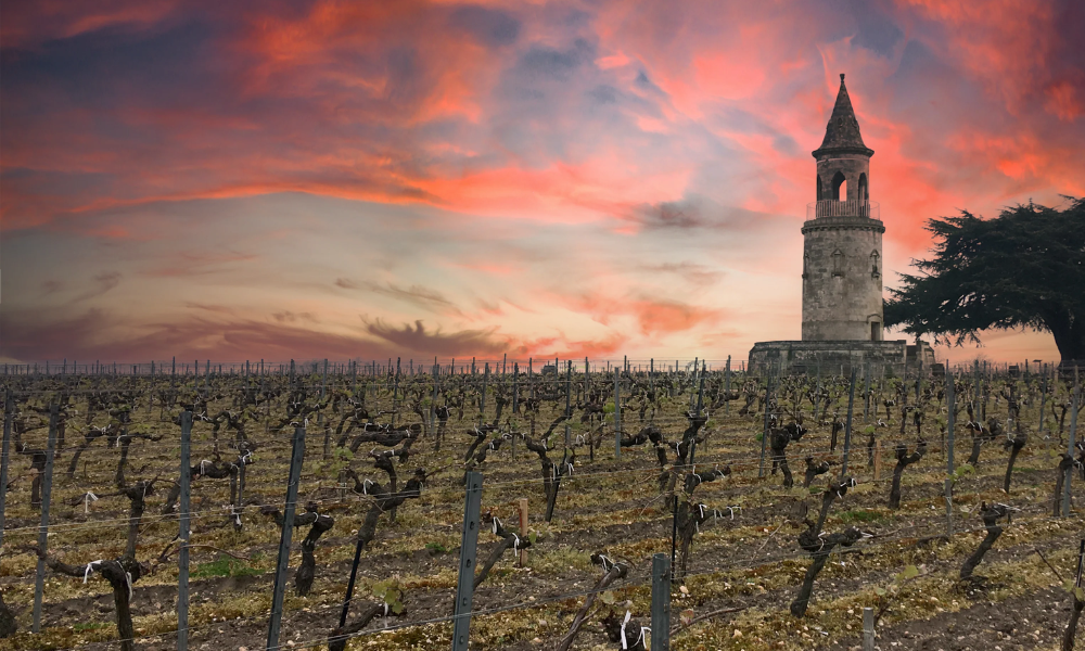 Bordeaux 2022 | Our Options from the Left/Right Bank, Sauternes & First Growth Houses!