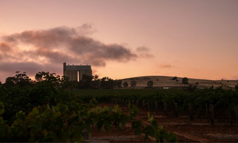 Bulman & Emmalene |  Blewitt Springs & Eden Valley Grenache of Great Stature + Top Value from the Hills