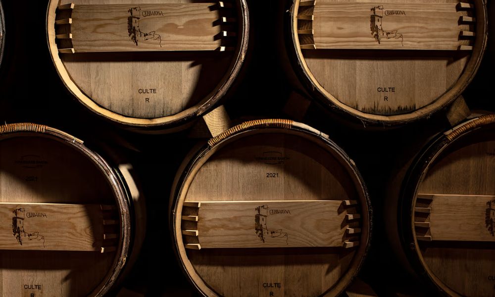 Cerbaiona | Montalcino at its Finest (New Arrival Offer)