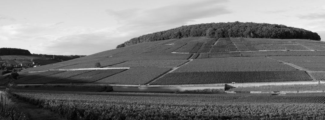 Bonneau du Martray Masterclass